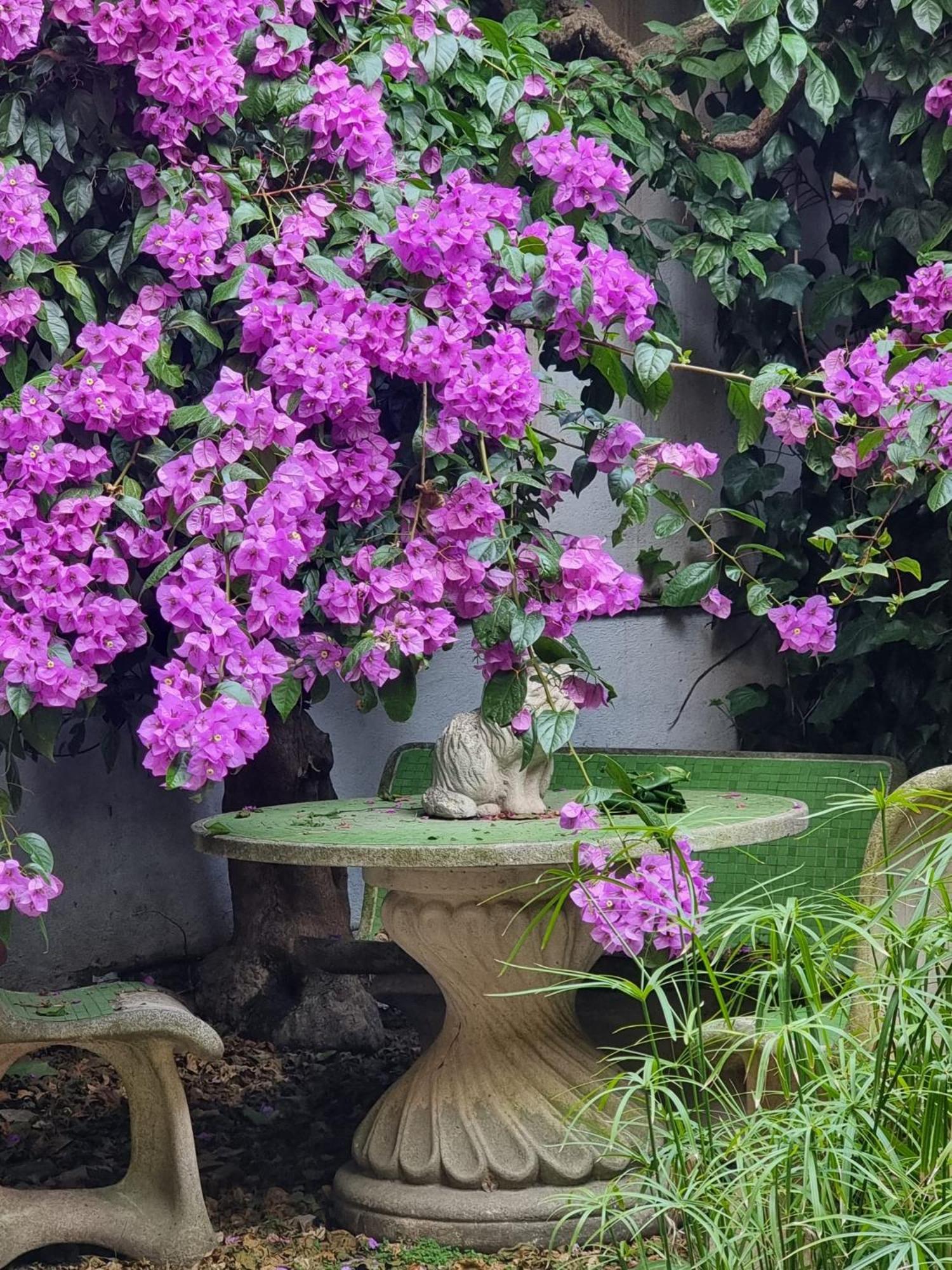 Vatican Fairytale Garden Róma Kültér fotó